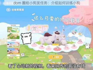 dom 圈给小狗发任务：介绍如何训练小狗