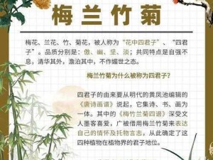 梅兰菊竹，花中四君子，经典国粹，优雅绽放