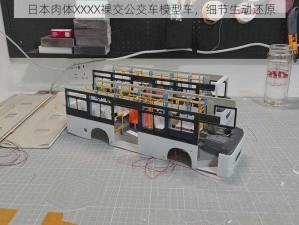 日本肉体XXXX裸交公交车模型车，细节生动还原