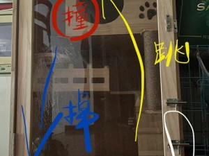 请在张警犬 9 分 10 秒头撞玻璃澎湃后面加入商品介绍