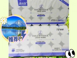 中国公厕 toielt 美女抅高档时尚卫生纸巾，方便携带，柔软舒适