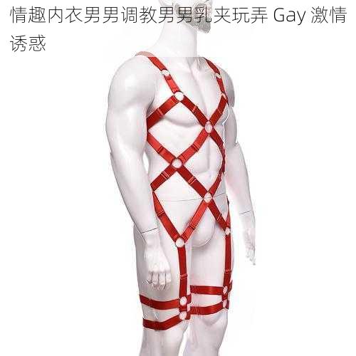 情趣内衣男男调教男男乳夹玩弄 Gay 激情诱惑