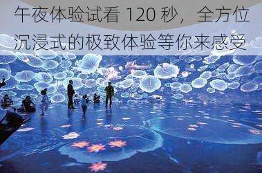 午夜体验试看 120 秒，全方位沉浸式的极致体验等你来感受